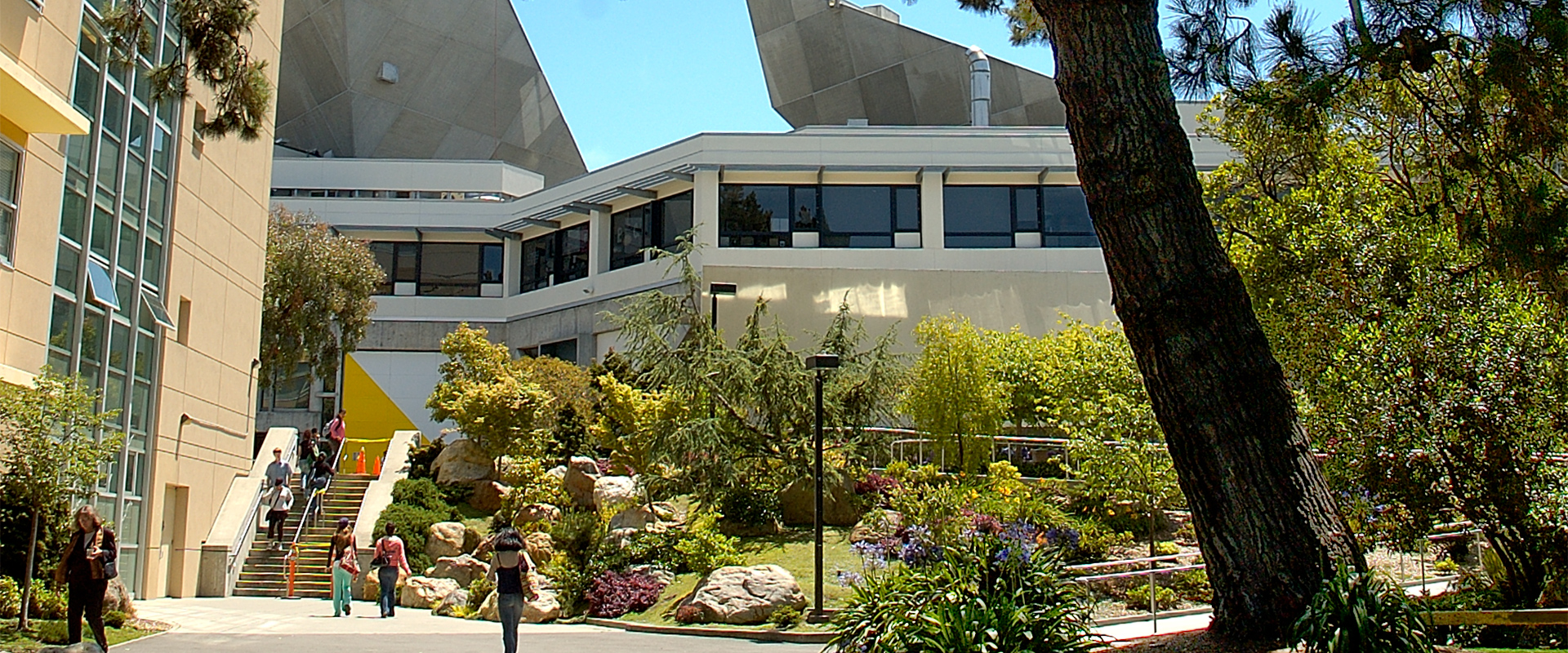 ElderCollege at San Francisco State University San Francisco State