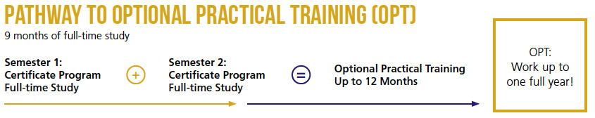 Pathway to Optional Practical Training
