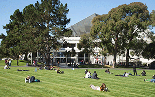 Students study on the grass on campus