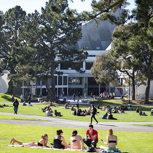 Students lounge and sunbathe on the grass at SF State