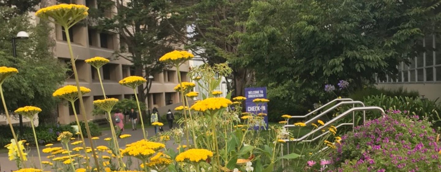 Flowers on SF State campus