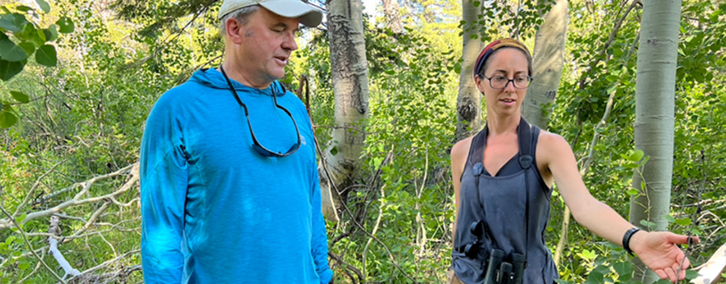 Student and faculty examine tree at the Sierra Nevada Field Campus