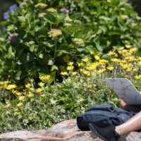 Student takes an online course on a rock by some flowers