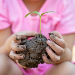 Child holds a ball of mud with a sprout growing from it