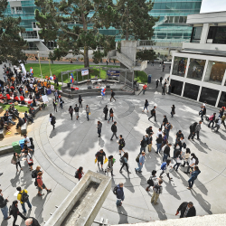 Aerial view of a bustling Malcolm X Plaza