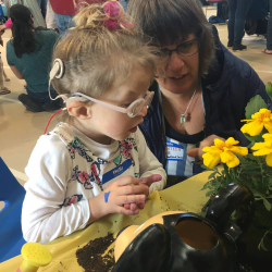 Deafblind child exploring flowers with intervener